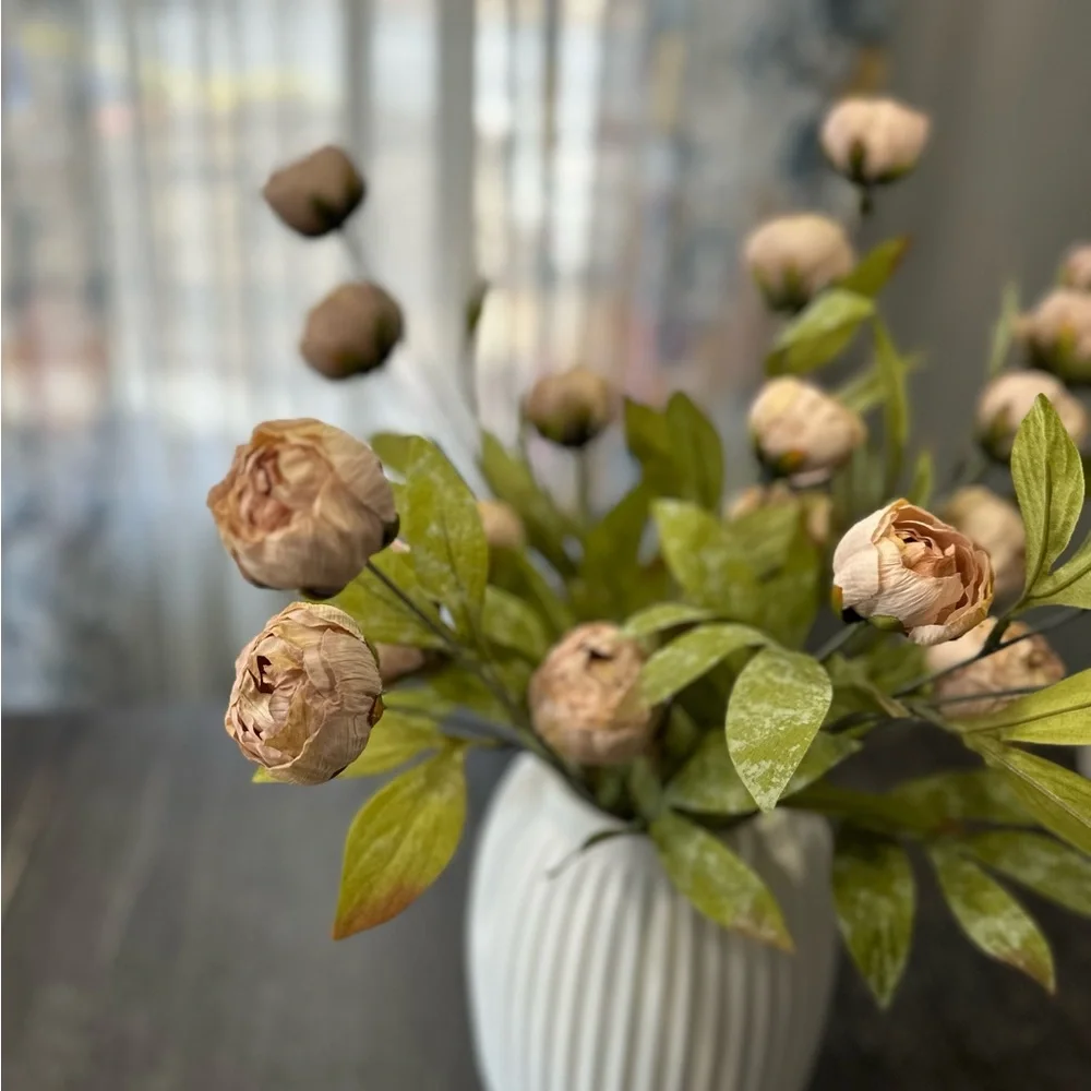 5 Tan Peony Stems by Ashland